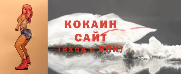 тгк Богородск