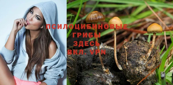 2c-b Богданович